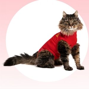 MPS-MEDICAL PET SHIRT® CAT - RED - 2 SIZES AVAILABLE - NWT